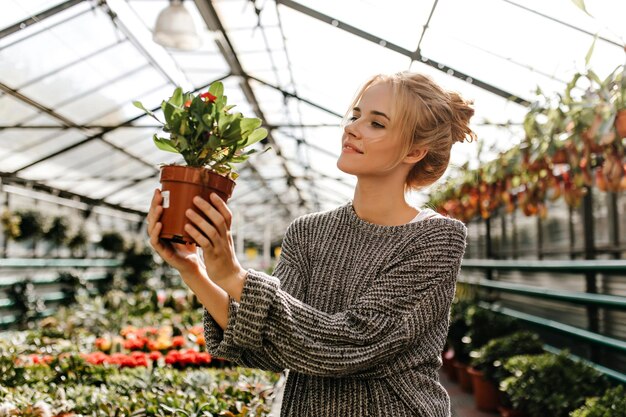 Portrait of charming lady in gray outfit looking at plant with red flowers with interest Girl with bun is posing in greenhouse