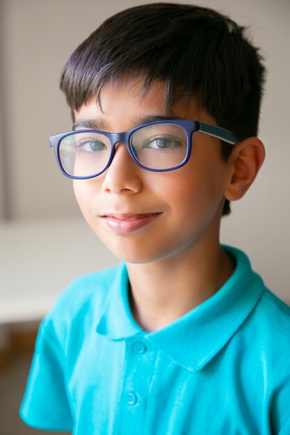 Portrait of content Asian little boy in glasses