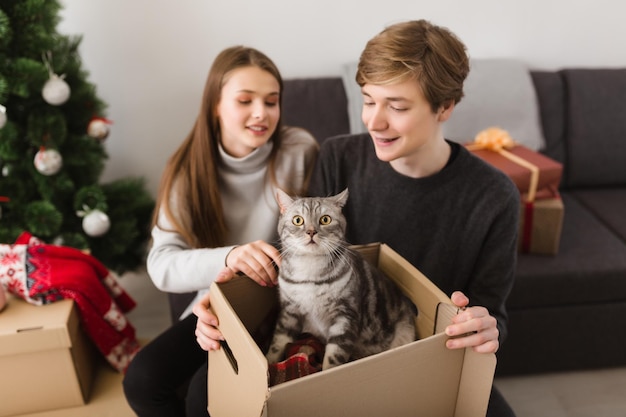 Ritratto di giovane coppia cool e bel gatto seduto in scatola con albero di natale sullo sfondo