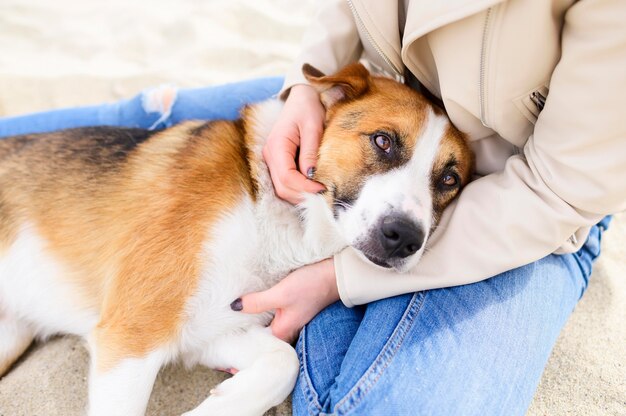 自然の中で時間を楽しんでいるかわいい犬の肖像画