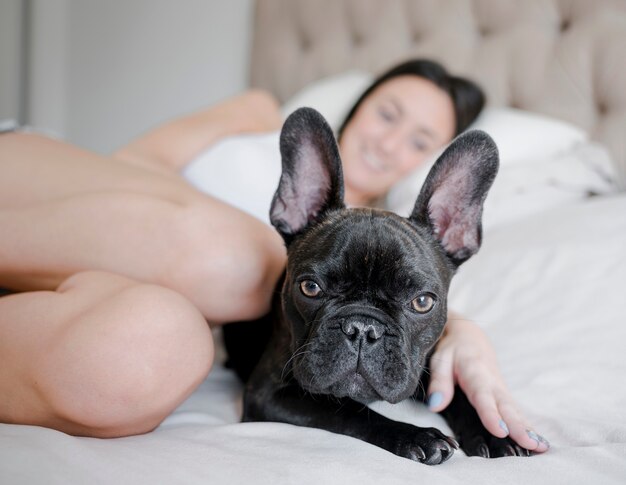 Portrait of cute little puppy on the bed