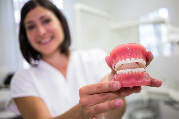 Foto gratuita ritratto del dentista femminile che tiene un insieme delle protesi dentarie