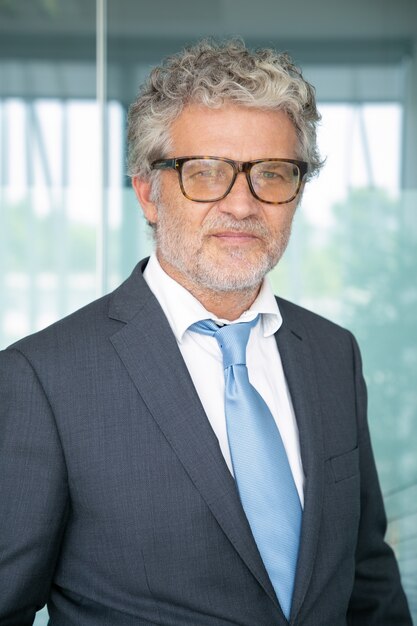 Portrait of grey-haired businessman standing 