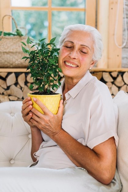 Foto gratuita ritratto della donna senior felice che ama la sua pianta da vaso