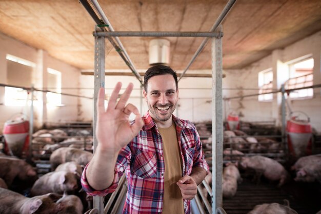 Portrait of happy smiling farmer showing okay sign at pig farm