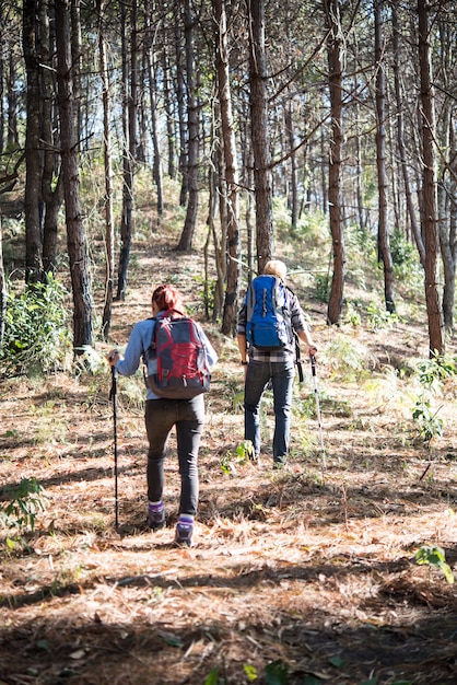 Ritratto di escursionisti coppia zaino in spalla nella foresta di pini.