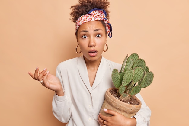 Portrait of indignant puzzled ethnic woman has confused expression shrugs shoulders stares at front holds potted cactus wears kerchief tied over head white shirt isolated over brown wall