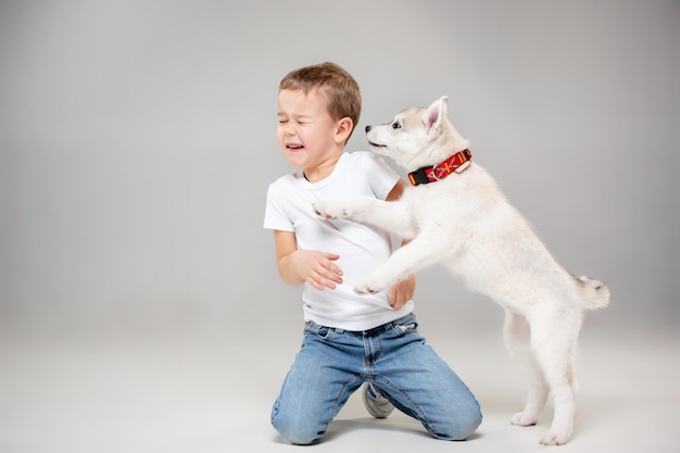 スタジオの床でシベリアンハスキーの子犬を楽しんでいるうれしそうな男の子の肖像画。動物、友情、愛、ペット、子供時代、幸福、犬、ライフスタイルの概念