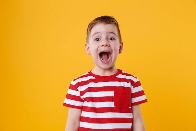 Free photo portrait of a little boy shouting