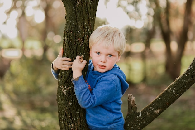 Foto gratuita ritratto di un ragazzino seduto in un grazioso giardino