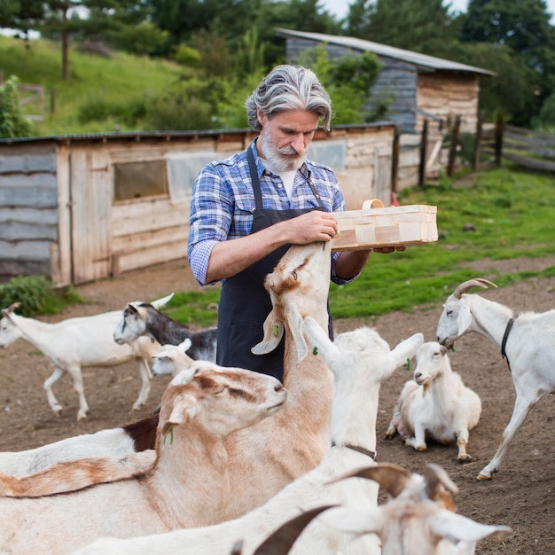 Portrait man feeding goats