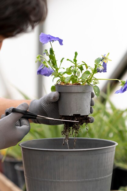 植物を育てる肖像画の男