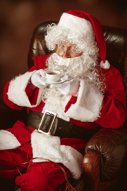 Portrait of Man in Santa Claus Costume