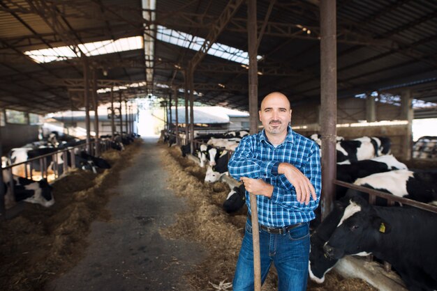 Portrait of middle aged farmer standing at cow's farm and taking care of cattle domestic animals