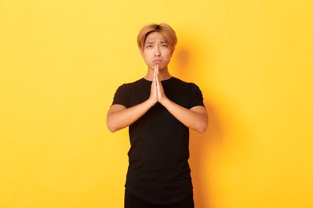 Portrait of miserable asian guy pleading, begging for help, standing over yellow wall