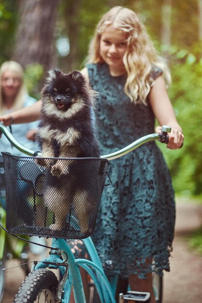 Free photo portrait of a mother and daughter with a blonde hair on a bicycle ride with their cute little spitz dog in the park.