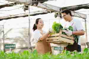 無料写真 新鮮な生野菜でいっぱいの木箱を保持しているアジアの農家の男性と女性の肖像画。有機農場のコンセプト。