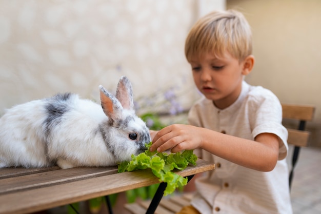 Бесплатное фото Портрет мальчика со своим домашним кроликом