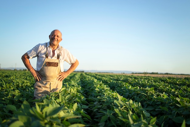 Portrait of senior hardworking farmer agronomist standing in soybean field checking crops before harvest