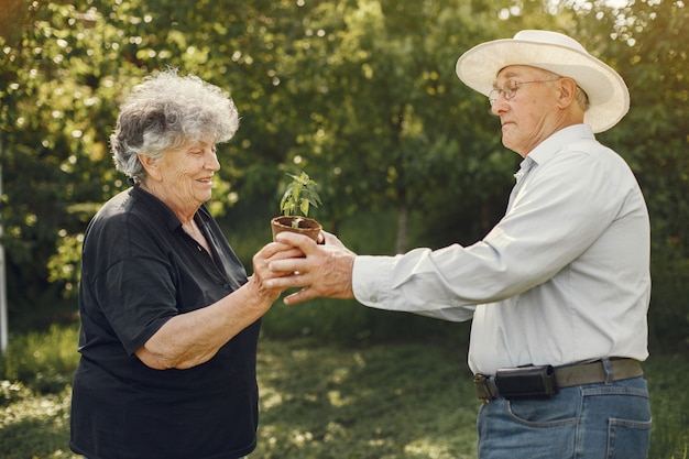 Free photo portrait of seniors in a hat gardening