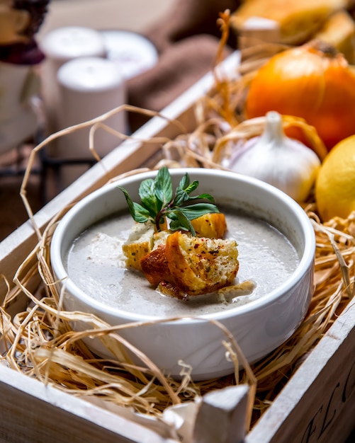 Portrait shooting mushroom soup with crackers