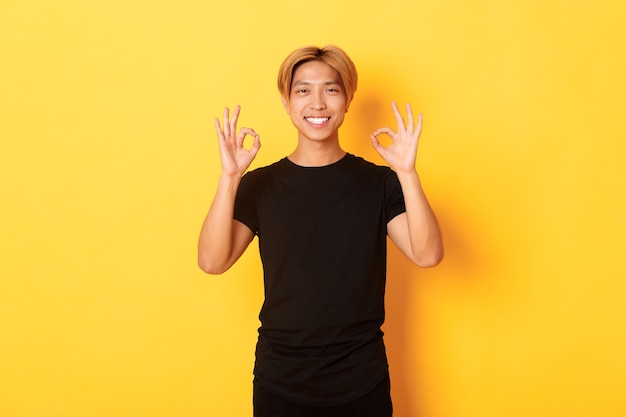 自信を持ってアジアの男の笑顔、満足そうに見える、いいジェスチャー、黄色の壁を示すの肖像画