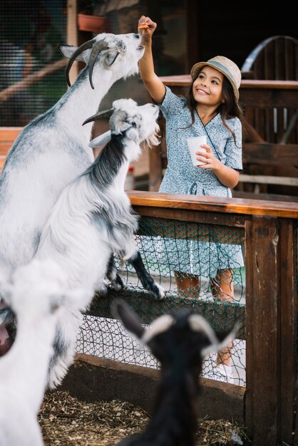 Portrait of a smiling girl feeding chips to goat in the barn