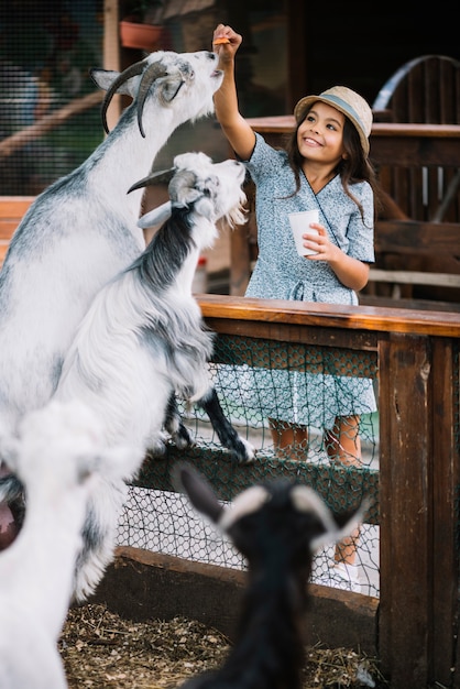 Портрет улыбающейся девушки, кормит чипсов козу в сарае