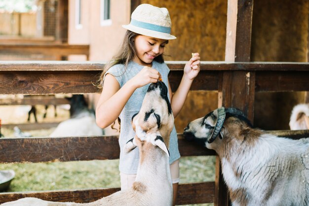 Портрет улыбающейся девушки, кормления пищи овец в ферме
