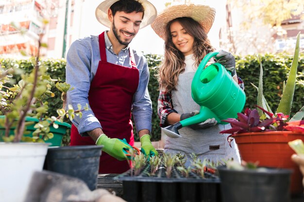 Portrait of smiling young female and male gardener taking care of seedlings in crate