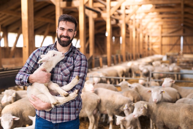 Portrait of successful farm worker rancher standing in sheep stable farmhouse and holding lamb domestic animal