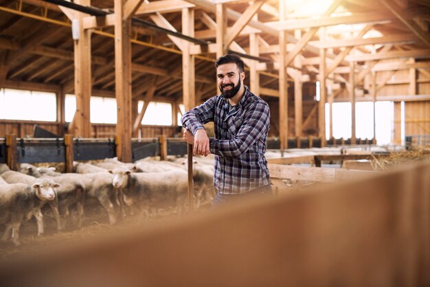 Portrait of successful farmer cattleman proudly standing in sheep barn