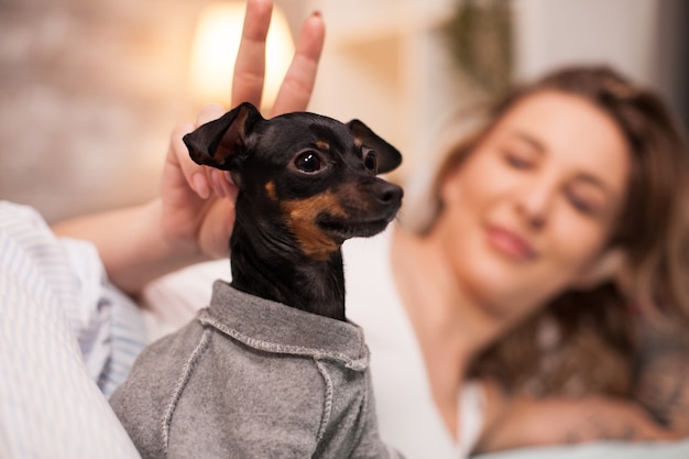 Portrait of tiny dog and her owner lying in bed. Cheerful woman in pajamas.