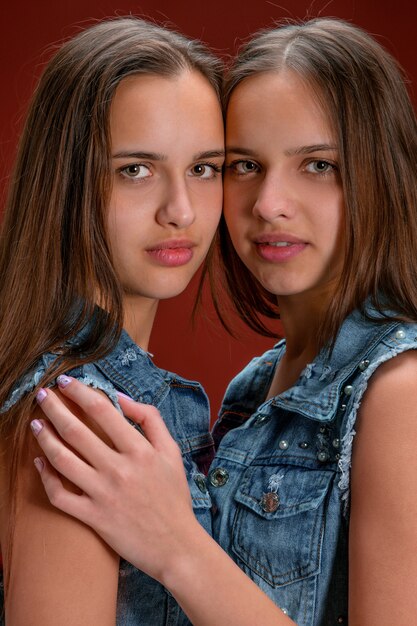2つの美しい双子の若い女性の肖像画