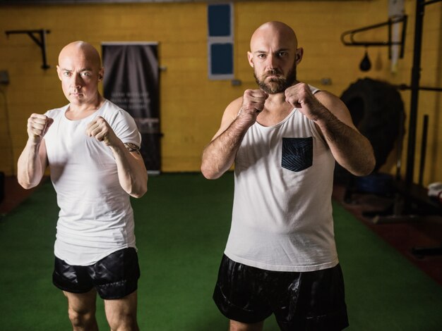 Портрет двух боксеров стоя