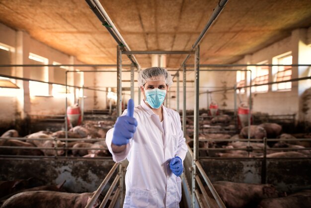 Portrait of veterinarian in white protective suit with hairnet and mask standing in pig pen and showing thumbs up at pig farm
