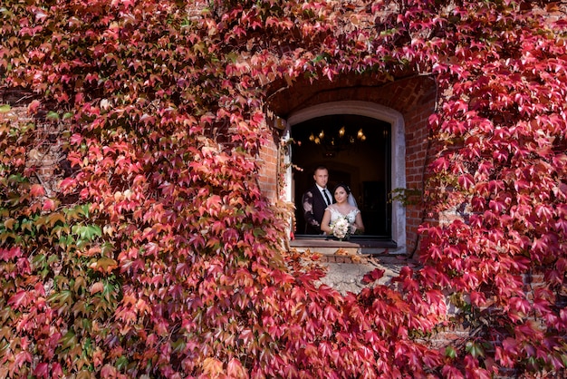 赤いツタで覆われた石の壁のウィンドウでの結婚式のカップルの肖像画