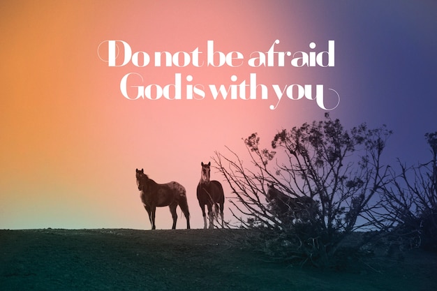 Free photo portrait of wild horses with gradient effect and religious quote