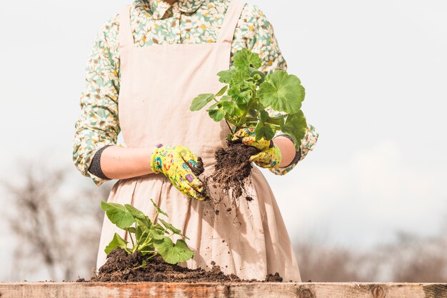 Portrait of woman gardening