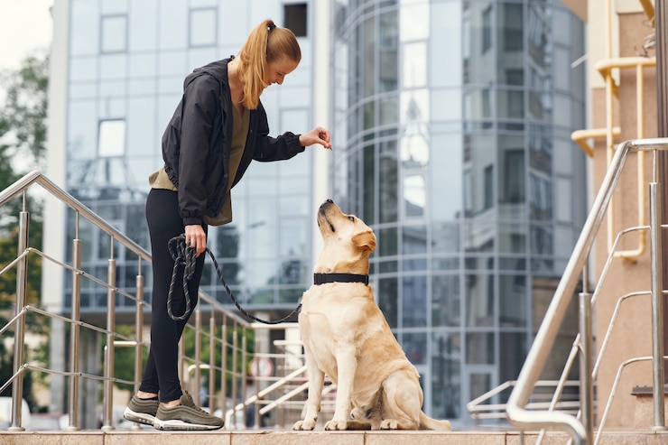 Free Photo portrait of a woman with her beautiful dog