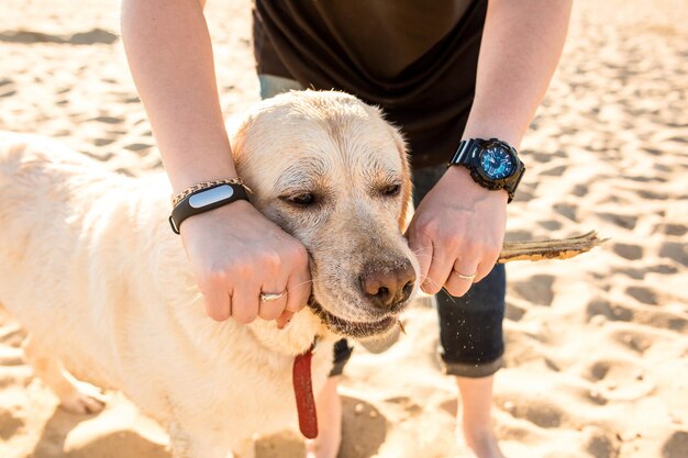 ゴールデンレトリバー犬と砂浜に座っているサングラスの若い美しい女性の肖像画。海で犬と女の子。幸福と友情。ペットと女性。海岸で犬と遊ぶ女性