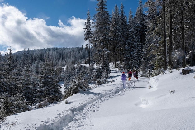 Portrait of young hikers in the distance dressed all in black climbing the uphill