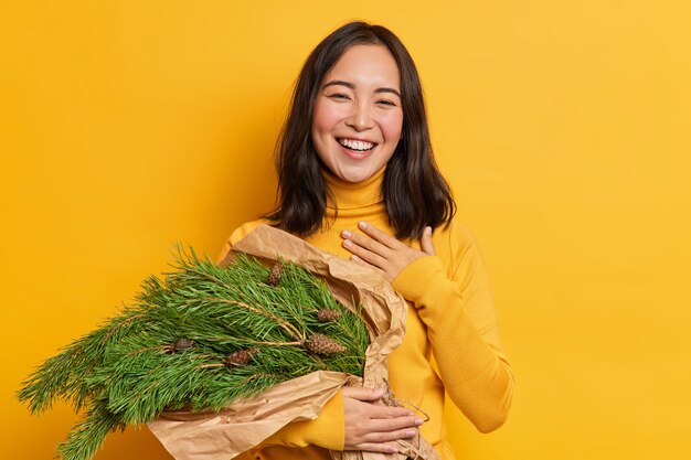 Positive brunette woman with eastern appearance holds Christmas tree fir branches with pine cones expresses happy sincere emotions 