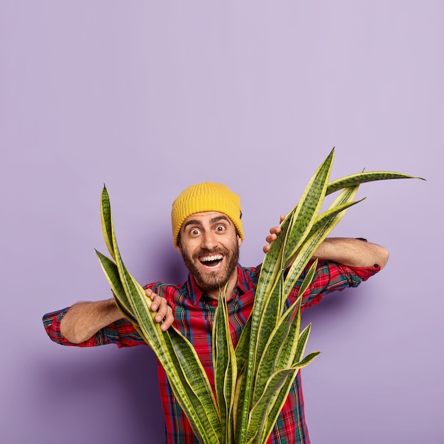 Free photo positive european man with stubble, looks through sansevieria or snakeplant, wears yellow hat and checkered shirt, poses against purple background.