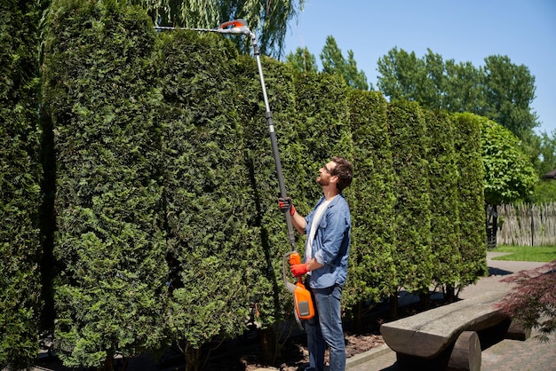 Free photo positive male landscaper cutting top of overgrown thujas with motorized hedge trimmer in park side