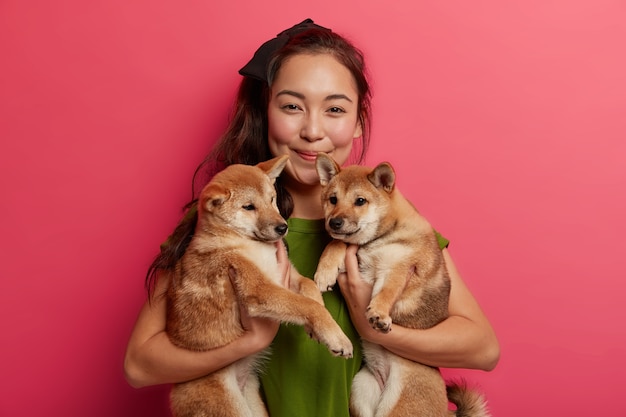 Positive pleasant looking young Asian female enjoys company with two beloved shiba inu dogs. Pedigree puppies with owner, being carried to vet clinic. Pink background.