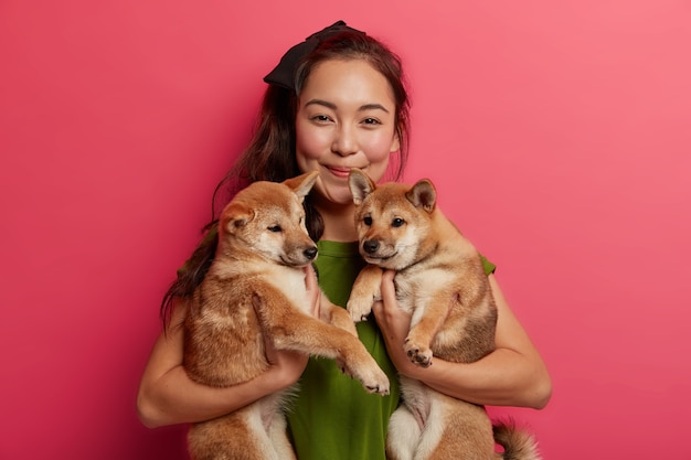 ポジティブで見栄えの良い若いアジアの女性は、2匹の最愛の柴犬と一緒に楽しんでいます。獣医クリニックに運ばれる、飼い主のいる血統の子犬。ピンクの背景。