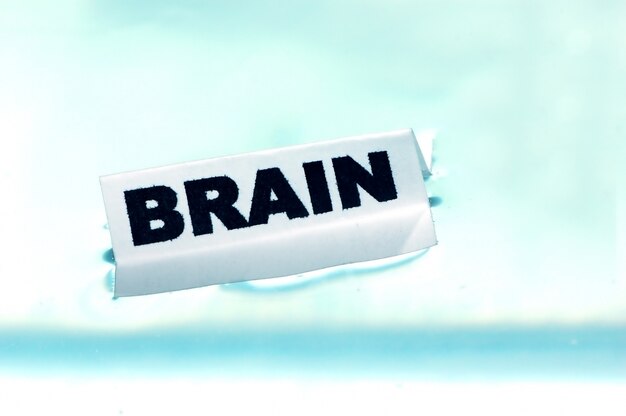 「脳」と言うのポスター