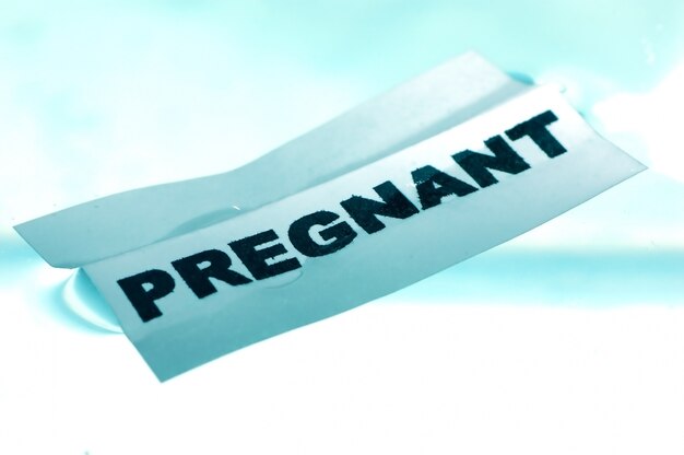 "임신"이라는 포스터