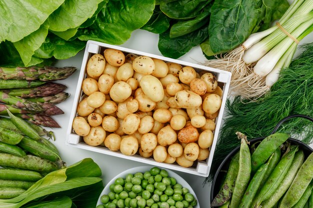 緑のさや、エンドウ豆、ディル、ネギ、ほうれん草、スイバ、レタス、アスパラ、白い壁、上面に木製の箱でジャガイモ。